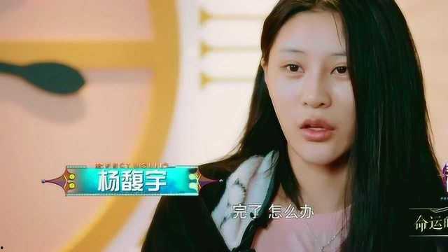 王蒙爆料杨馥宇视频播放,真相与争议