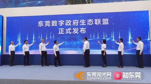 东莞东坑今日爆料新闻视频,突发事件引发关注 第3张 东莞东坑今日爆料新闻视频,突发事件引发关注 第3张